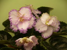 P1230531