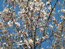 DSCN5122