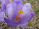 DSC05156