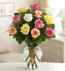 a-dozen-multi-color-roses-LG