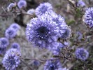 2010-02-28_18-07-23