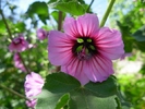 dscn0340