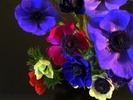 DSCF5894