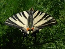 dscn0388