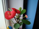 DSC03297
