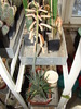 DSC02669