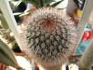 DSC02622