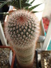 DSC02645