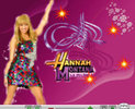 12613163_LMTIYJKZY