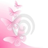 pink-butterfly-border-thumb4202059