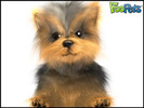 foopets-yorkie-300