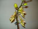 DSC06240