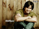 shahid-kapoor01