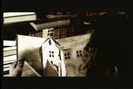 normal_PDVD_240