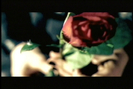 normal_PDVD_744