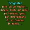 10428991_CSEOGDGZD