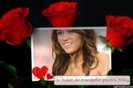 12806882_IELFVVSRQ