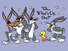 looney_tunes_019