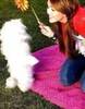 11395502_AIOBWWSQX