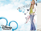 mileyhannahmontana78726541024768