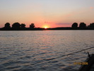 Picture 042