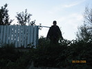 Picture 043