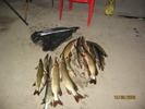 Picture 053