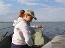 Picture 062