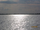 Picture 064