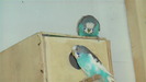 IMGA0011