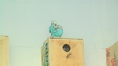 IMGA0016