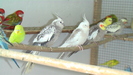 IMGA0024