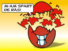 03_sa_mori_de_ras