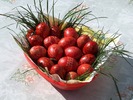 oua-rosii-790072