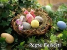 Paste_Fericit9
