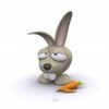 rabbit-150x150