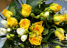roses (16)