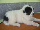 LUIZA