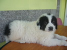 LUIZA