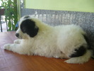 LUIZA