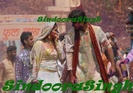 20090304014339_pic5