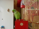 P1010418RORY