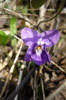 P1040409