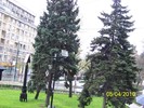 100_4463