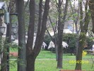 100_4470