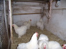 P3260730
