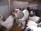 P3260740