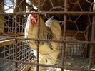P3260750