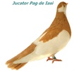 jucpagdeiasi