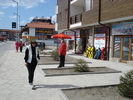 DSC07445